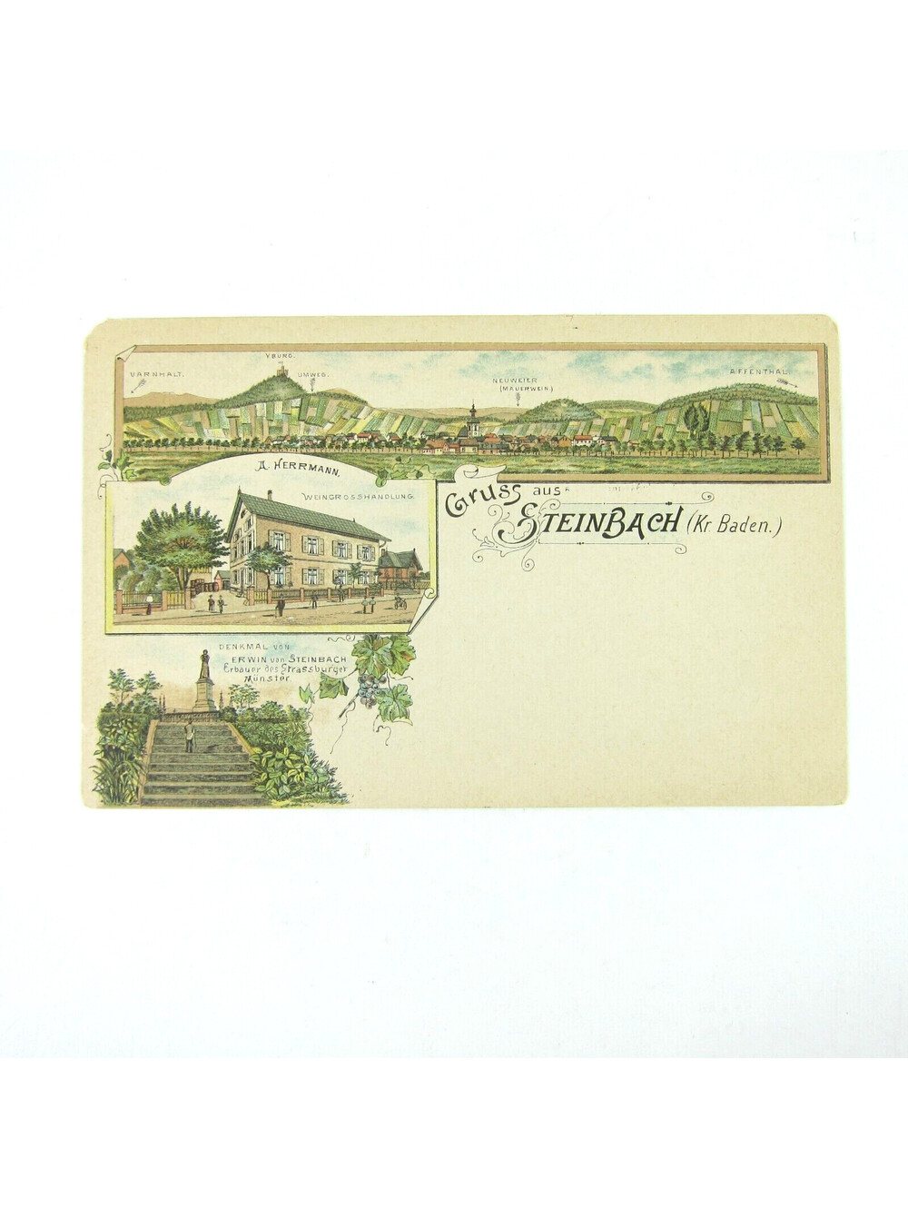 Postcard Steinbach Germany Monument Erwin von Steinbach Vineyards Wine Antique